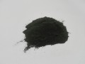 Spirulina.jpg