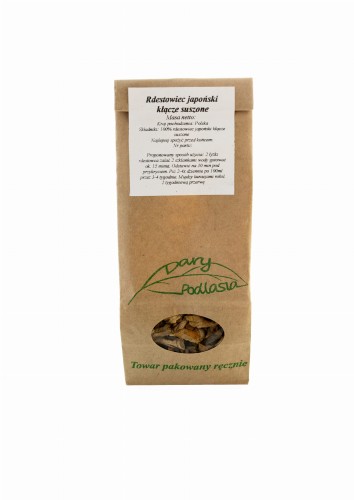 Rdestowiec kłącze.jpg