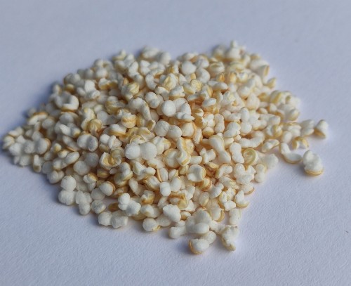 AMARANTUS EKSPANDOWANY.jpg