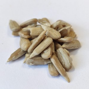 Słonecznik łuskany ziarno słonecznika (Helianthus annuus L....) 1000g - Dary Podlasia