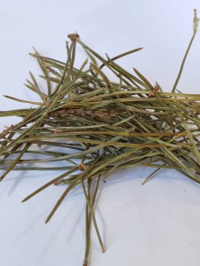 Sosna igły sosny sosnowe 500g (Pinus sylvestris L....) - Dary Podlasia