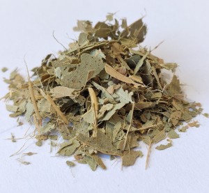 Eukaliptus liść eukaliptusa 1000g (Eucalyptus L'Hér....) -  Dary Podlasia