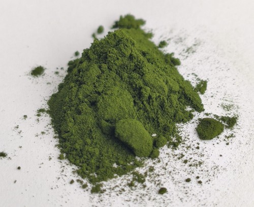 CHLORELLA.jpg
