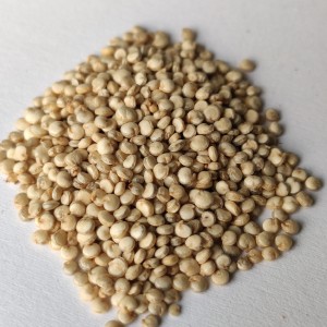 Komosa ryżowa (Chenopodium quinoa Willd....) biała (Quinoa) 200g - Dary Podlasia