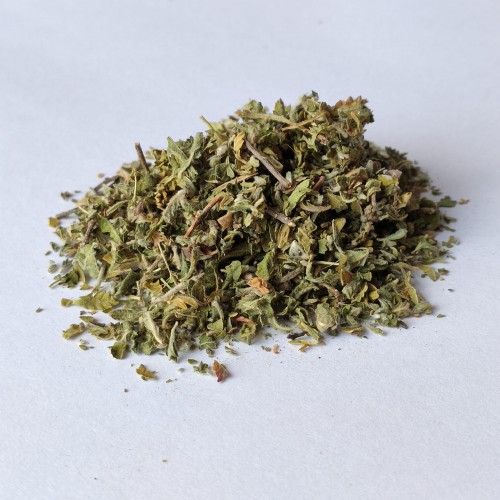 DAMIANA.jpg