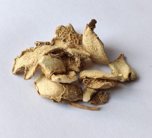 Imbir kłącze suszone imbiru (Zingiber Boehm) 1000g - Dary Podlasia