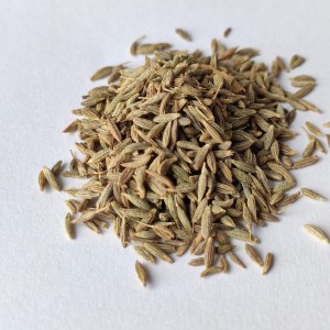 Kmin rzymski (Cuminum cyminum L.) ziarno kminu (Kumin) 1000g - Dary Podlasia 