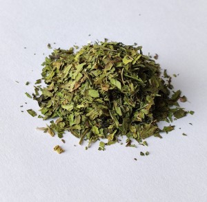 Lubczyk (Levisticum officinale....) liść lubczyku 500g - Zioła - Dary Podlasia