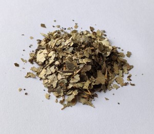 Topola liść topoli 500g (Populus nigra L....) - Dary Podlasia