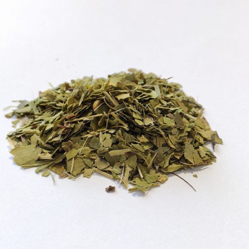 YERBA.jpg