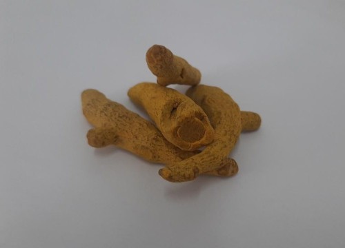 image(11).jpg