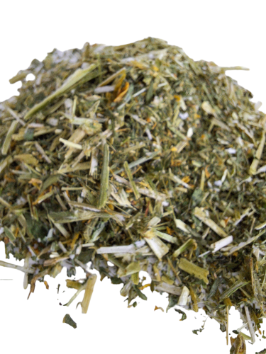 Lucerna 2.png