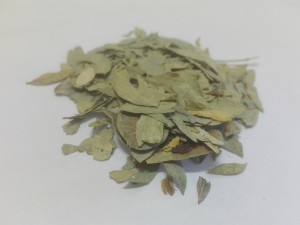 Senes liść senesu Strączyniec 200g (Senna alexandrina....) - Dary Podlasia