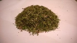Pięciornik gęsi (Potentilla anserina L....) (Srebrnik) ziele pięciornika 1000g - Zioła - Dary Podlasia  