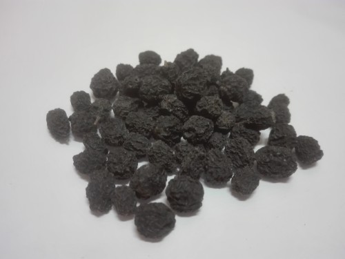 Aronia.jpg