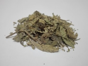 Werbena cytrynowa liść werbeny Lippia trójlistna 500g (Aloysia citrodora....) - Dary Podlasia