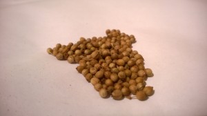 Kolendra ziarno całe (Coriandrum sativum L) 1000g - Dary Podlasia