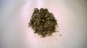 Szanta ziele szanty 1000g (Marrubium vulgare L....) - Dary Podlasia